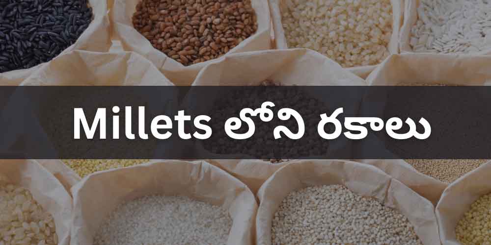 ఆరోగ్యానికి చిరుధాన్యాలు చేసే అద్భుతాలు Millets in Telugu